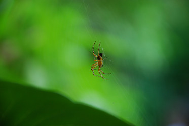 Similar image 21129478