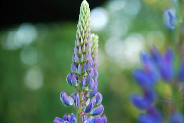 Similar image 21129708