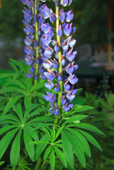 Similar image 21129709