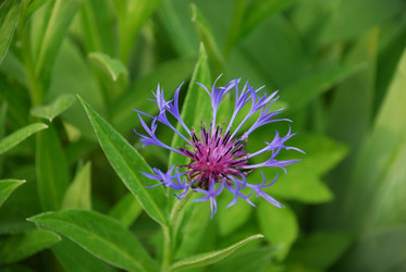 Similar image 21129710