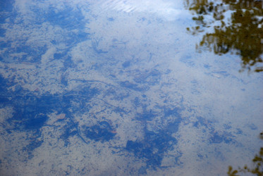 Similar image 21129711