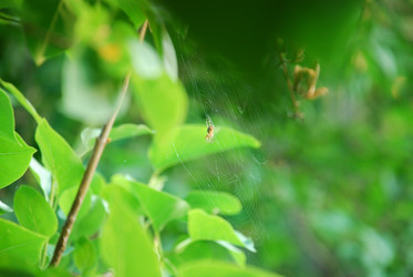 Similar image 21129712