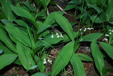 Similar image 21129713