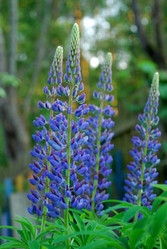 Similar image 21129714