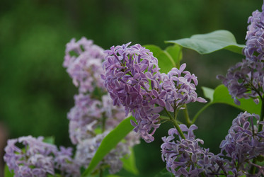 Similar image 21129715