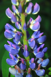 Similar image 21129716