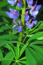 Similar image 21129718