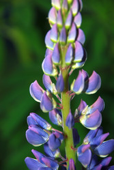 Similar image 21129719