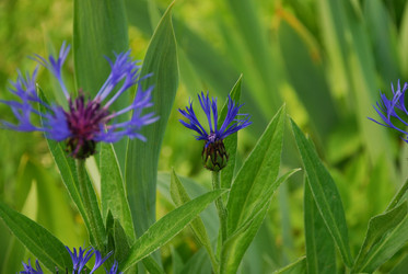 Similar image 21129722