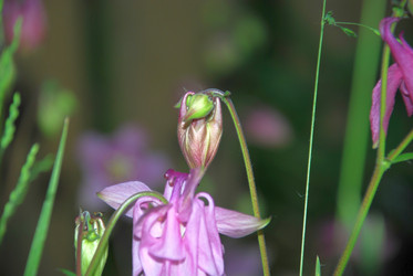 Similar image 21129915