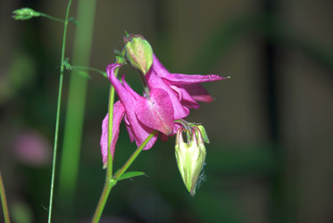 Similar image 21129917