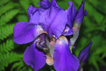 Similar image 21129919