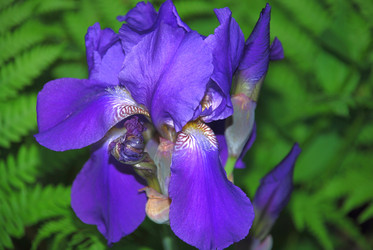 Similar image 21129921