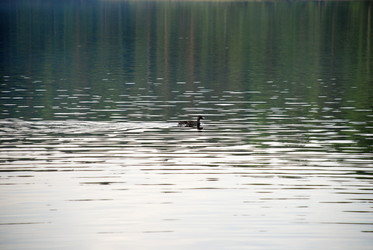 Similar image 21129922