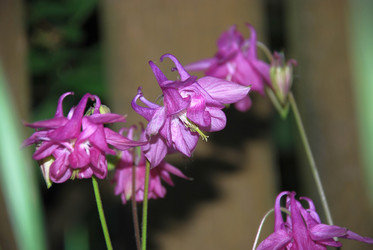 Similar image 21129923