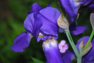 Similar image 21129924