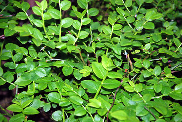 Similar image 21129925