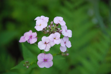 Similar image 21129926