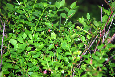 Similar image 21129928