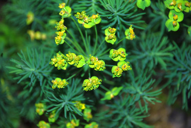 Similar image 21129929