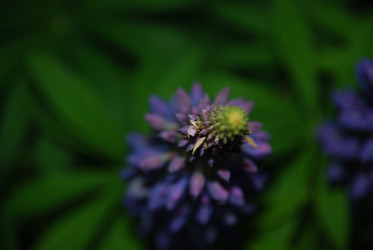 Similar image 21129933