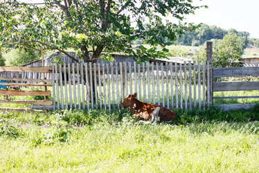 Similar image 21125446