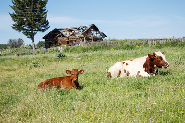 Similar image 21125447