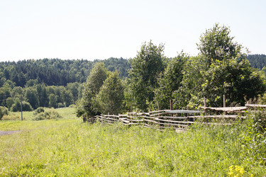 Similar image 21125448