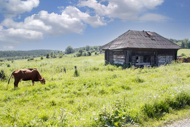 Similar image 21125524