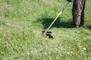 Similar image 21125530