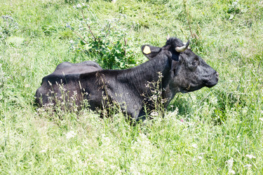 Similar image 21125534