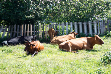 Similar image 21125535