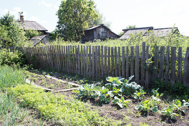 Similar image 21125536