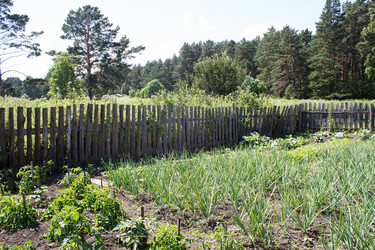 Similar image 21125549