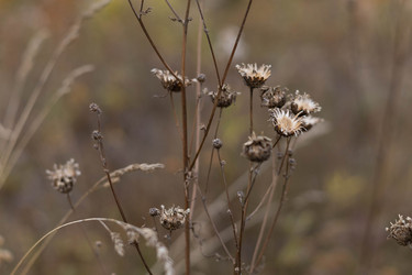 Similar image 21118364