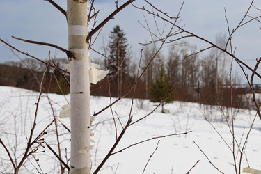 Similar image 21118367