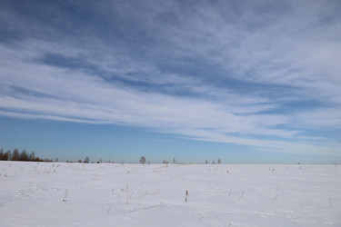 Similar image 21118368