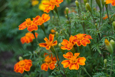 Similar image 21118375