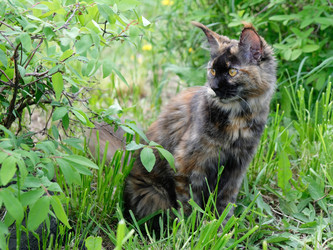 Similar image 21118381