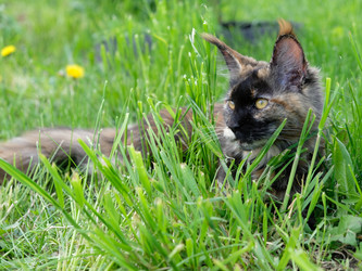 Similar image 21118382