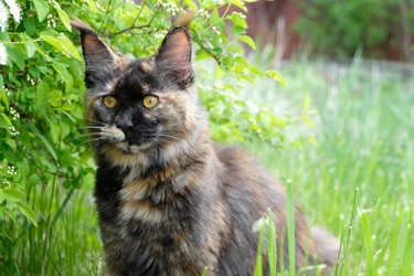 Similar image 21118383