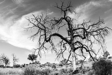 Similar image 21118390