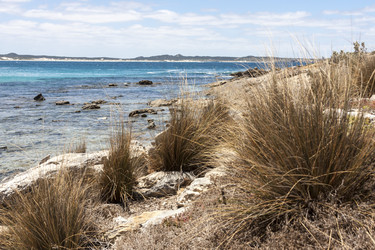 Similar image 21118391