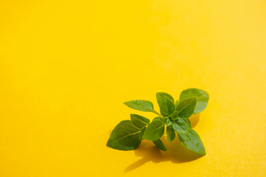 Similar image 21118394