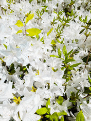 Similar image 21118398