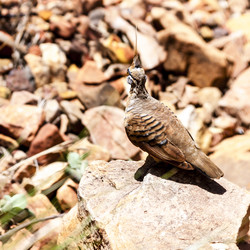 Similar image 21118405