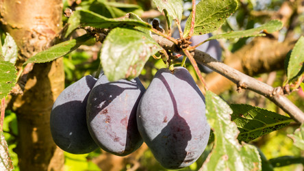 Similar image 21118407