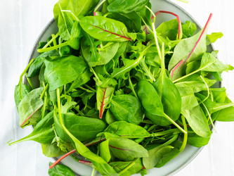 Similar image 21118412