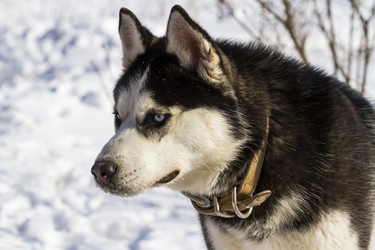 Similar image 21118426