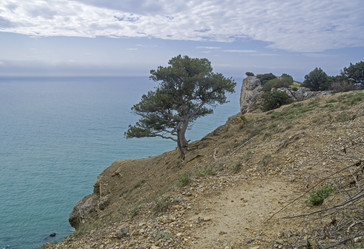 Similar image 21118429